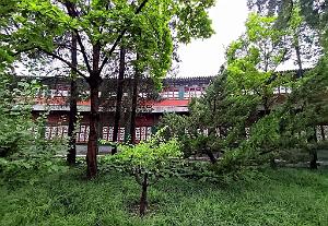 Pekin - Parc Beihai - 13 Juillet 2024 - 13